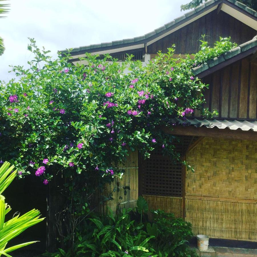 Phoxay Ngam Resort Vang Vieng Extérieur photo